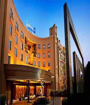 escorts service radisson delhi hotel